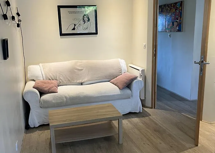 아파트 Cosy F2 Proche Et Commerces *